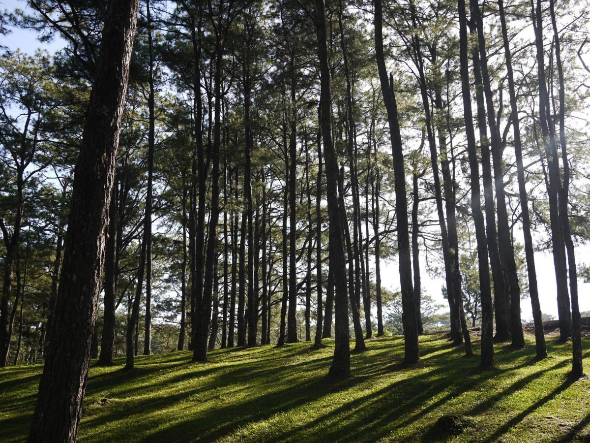 Azalea Residences Baguio Baguio City Екстериор снимка